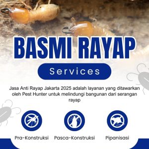 Jasa Anti Rayap Jakarta 2025