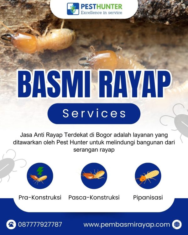 Jasa Anti Rayap Terdekat di Bogor
