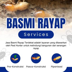 Jasa Basmi Rayap Terdekat