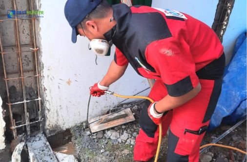 basmi rayap terbaik di bogor