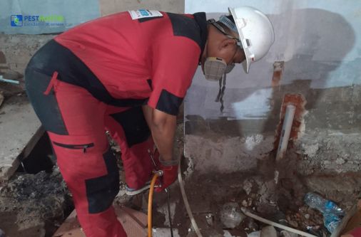 jasa anti rayap jabodetabek