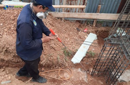 jasa basmi rayap bogor puncak terbaik