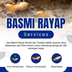 Jasa Basmi Rayap Murah dan Terbaik