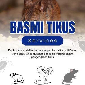 Daftar Harga Jasa Pembasmi Tikus di Bogor