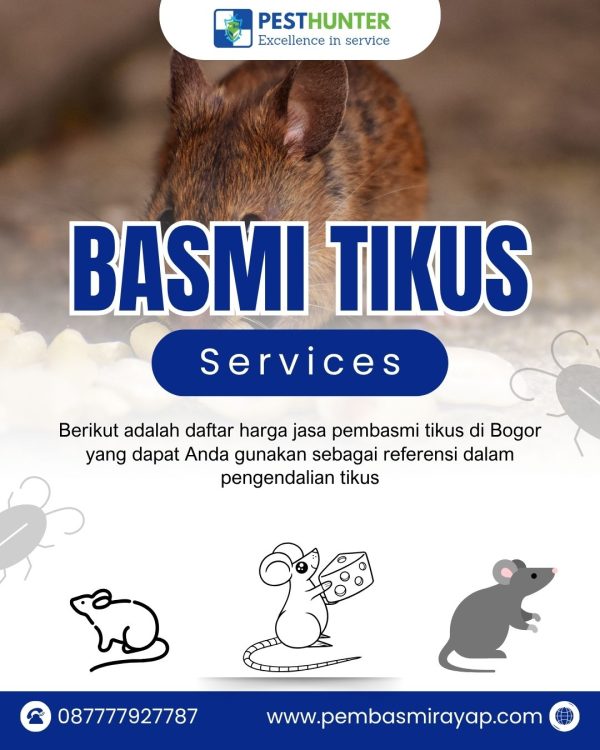 Daftar Harga Jasa Pembasmi Tikus di Bogor