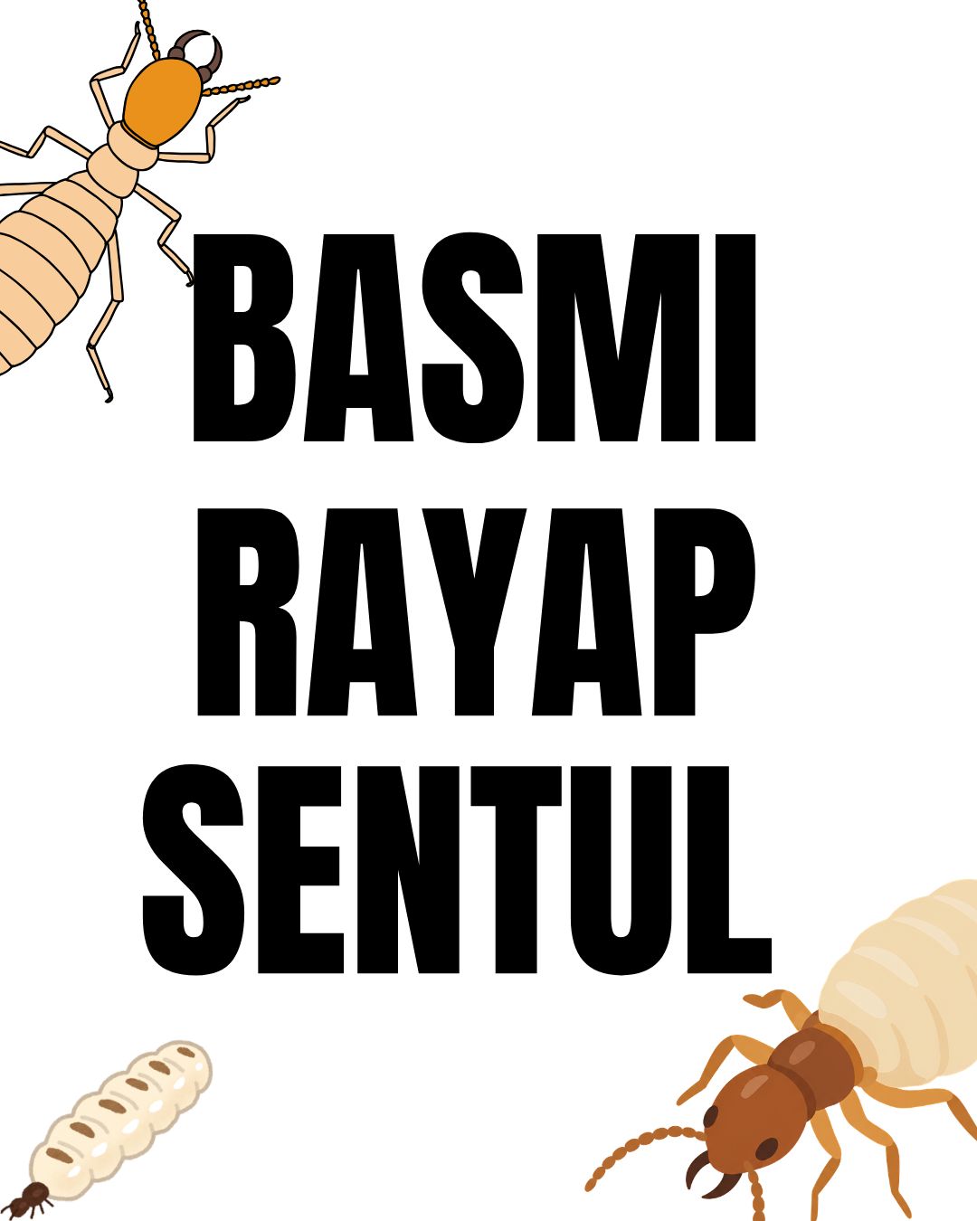Jasa Basmi Rayap Sentul 2026
